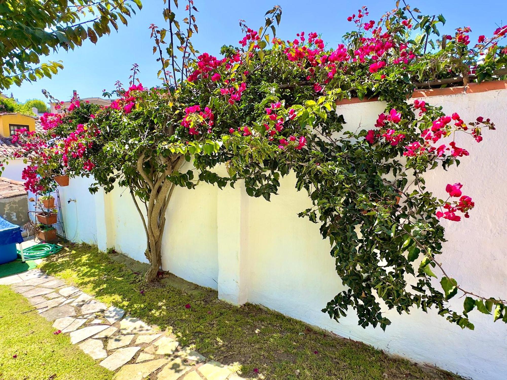 Casa Do Candeeiro Obidos Bagian luar foto